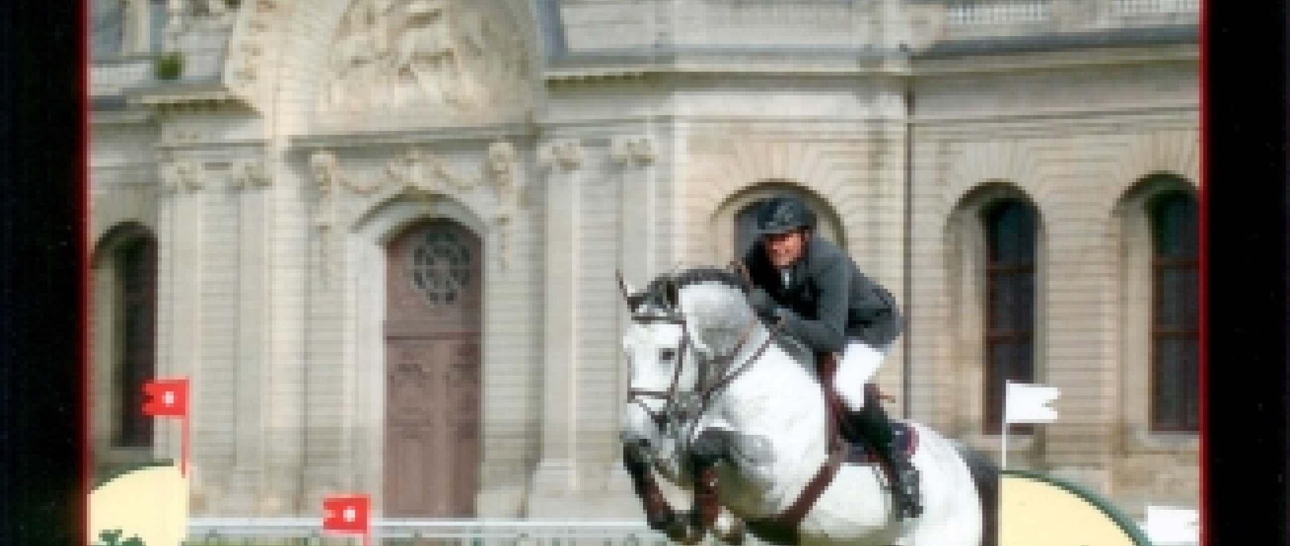ACARDI DU HOUSSOIT Z