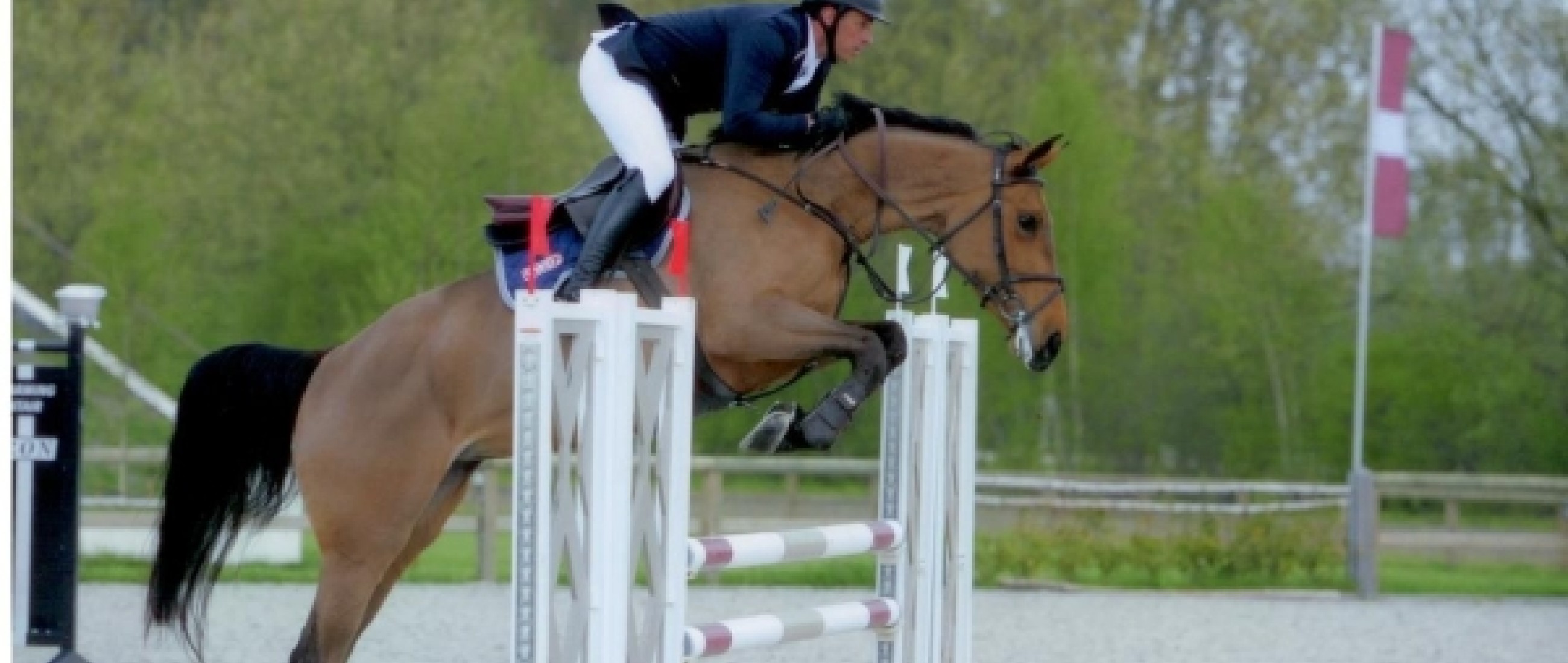 ELITE-CHIN DE SAULIEU
